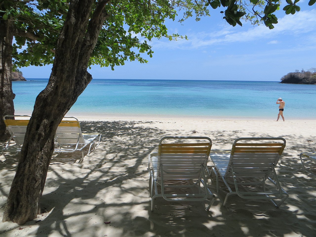 Tropical shoreline in Grenada